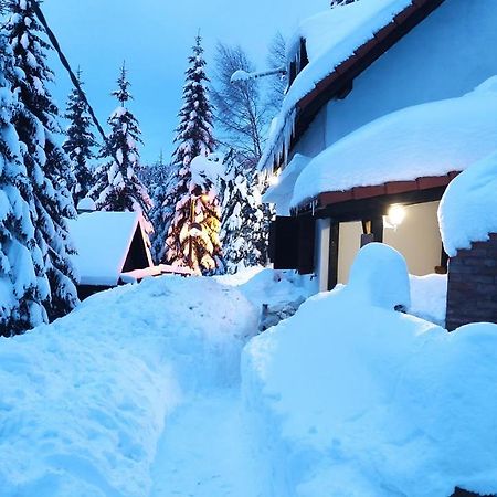 Отель Uki & Sofi Mountain House Копаоник Экстерьер фото