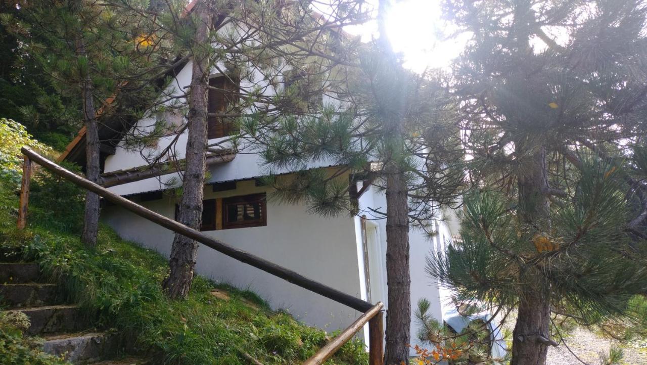 Отель Uki & Sofi Mountain House Копаоник Экстерьер фото