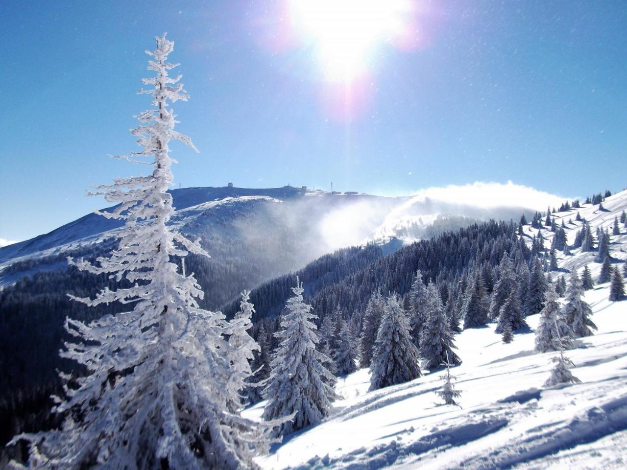 Отель Uki & Sofi Mountain House Копаоник Экстерьер фото
